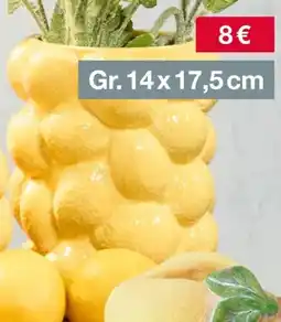 Woolworth Vase Angebot