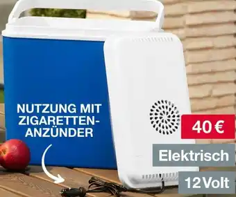 Woolworth Kühlbox Angebot