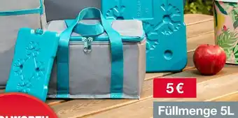 Woolworth Kühltasche Angebot