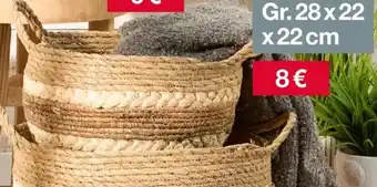 Woolworth Aufbewahrungskorb Angebot
