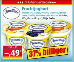 Norma Fruchtjoghurt Angebot