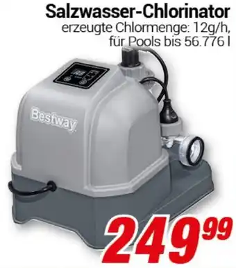 CENTERSHOP Bestway Salzwasser-Chlorinator Angebot