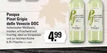 Edeka Frischemarkt Pasqua Pinot Grigio Delle Venezie DOC Angebot