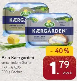 Dornseifer Arla Kaergarden Angebot