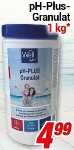 CENTERSHOP Well san pH-Plus Granulat Angebot