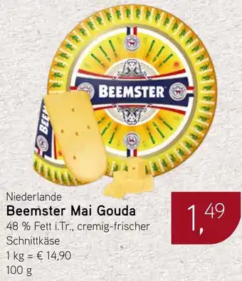 Dornseifer Beemster Mai Gouda Angebot