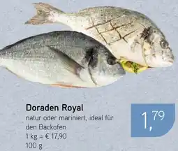 Dornseifer Doraden Royal Angebot