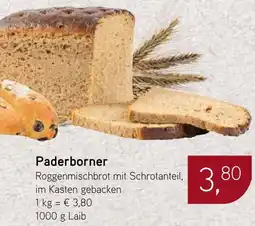 Dornseifer Paderborner Angebot