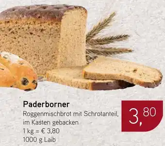 Dornseifer Paderborner Angebot