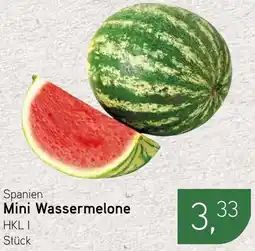 Dornseifer Spanien Mini Wassermelone Angebot