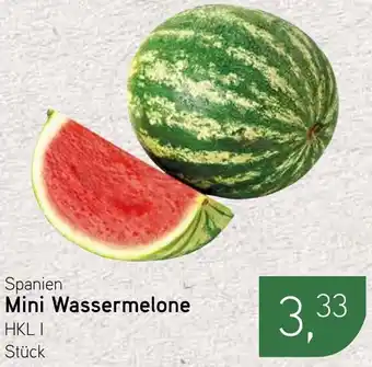 Dornseifer Spanien Mini Wassermelone Angebot