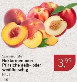 Dornseifer Nektarinen oder Pfirsiche gelb- oder weißfleischig Angebot