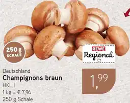 Dornseifer Champignons braun Angebot