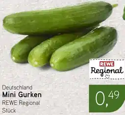 Dornseifer Deutschland Mini Gurken Angebot