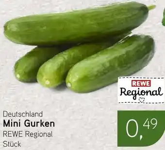 Dornseifer Deutschland Mini Gurken Angebot
