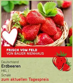 Dornseifer Deutschland Erdbeeren Angebot