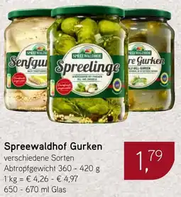 Dornseifer Spreewaldhof Gurken Angebot