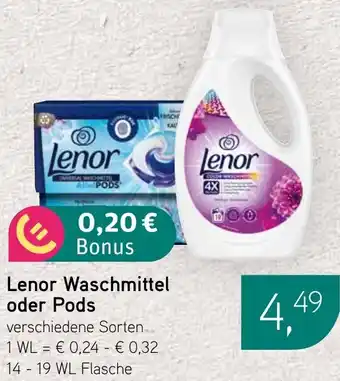 Dornseifer Lenor Waschmittel oder Pods Angebot