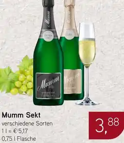 Dornseifer Mumm Sekt Angebot