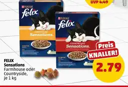 PENNY Purina farmhouse Angebot