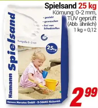 CENTERSHOP Hamann Spielsand Angebot
