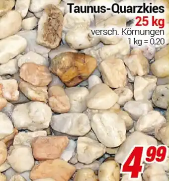 CENTERSHOP Taunus-Quarzkies Angebot
