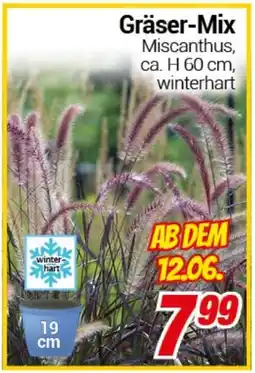 CENTERSHOP Gräser-Mix Angebot