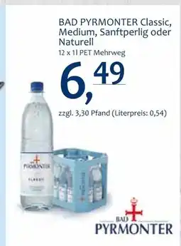 Getränke Quelle Bad pyrmonter mineralwasser Angebot