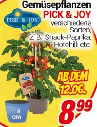 CENTERSHOP PICK-&-JOY Gemüsepflanzen Angebot