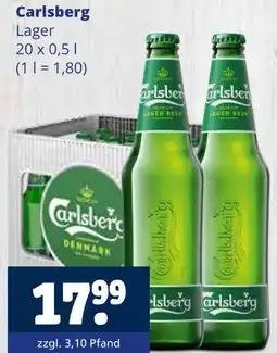 Getränkewelt Carlsberg lager Angebot