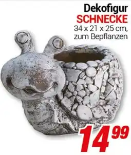 CENTERSHOP Dekofigur SCHNECKE Angebot