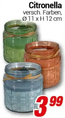 CENTERSHOP Citronella Angebot