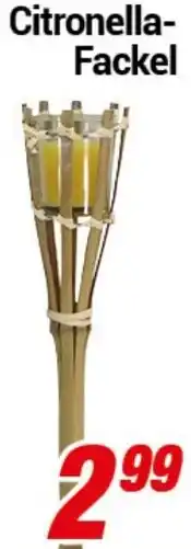 CENTERSHOP Citronella Fackel Angebot