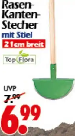 Wreesmann Rasen Kanten-Stecher mit Stiel Angebot