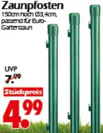 Wreesmann Zaunpfosten Angebot