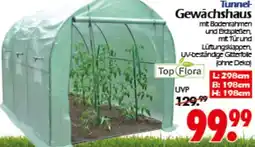 Wreesmann Tunnel Gewächshaus Angebot