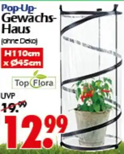 Wreesmann Pop-Up Gewächs-Haus Angebot