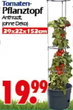 Wreesmann Tomaten Pflanztopf Angebot