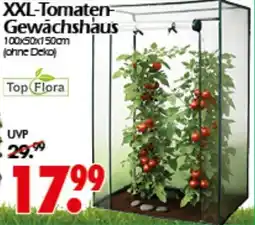 Wreesmann XXL-Tomaten Gewächshaus Angebot