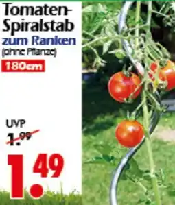 Wreesmann Tomaten Spiralstab Angebot