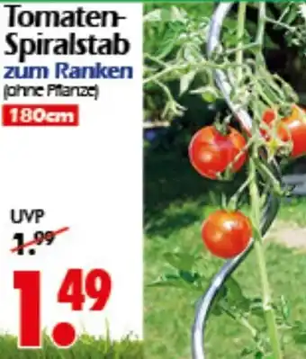 Wreesmann Tomaten Spiralstab Angebot
