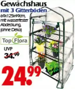 Wreesmann Gewächshaus Angebot