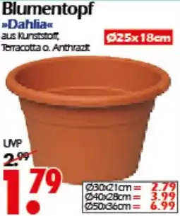 Wreesmann Blumentopf Dahlia Angebot
