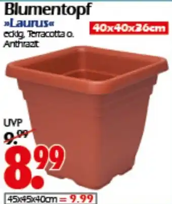 Wreesmann Blumentopf Laurus Angebot