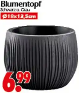 Wreesmann Blumentopf Angebot