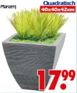 Wreesmann Pflanztopf Quadratisch Angebot