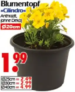 Wreesmann Blumentopf Cilindro Angebot