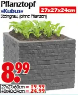 Wreesmann Pflanztopf Kubus Angebot