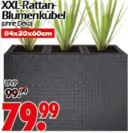 Wreesmann XXL-Rattan Blumenkūbel Angebot