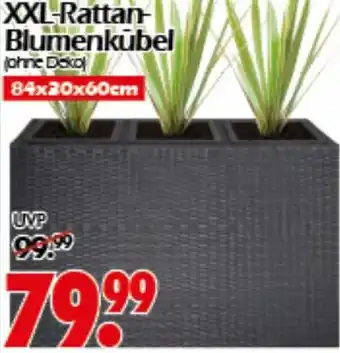 Wreesmann XXL-Rattan Blumenkūbel Angebot